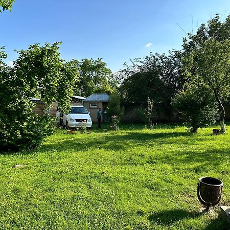 Villa In Qabala Dış mekan fotoğraf